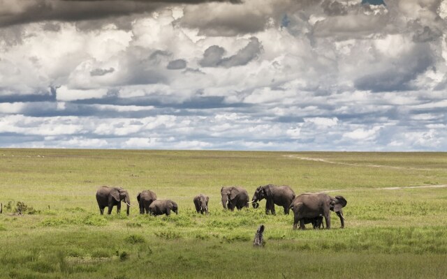 Kananga Special Tented Camp