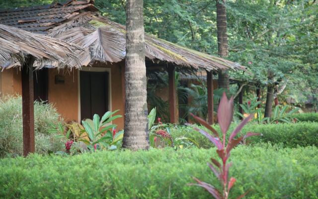 Natures Nest Resort