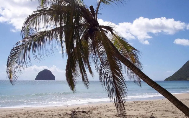 Appartement Rosbambou les pieds dans l eau