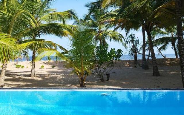 Tropical Garden