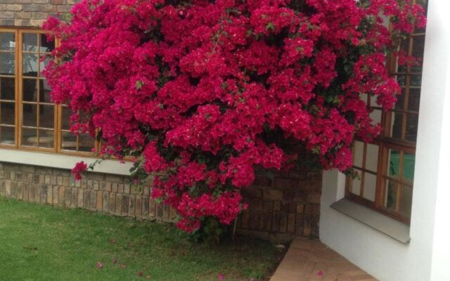 Serenity Guest House