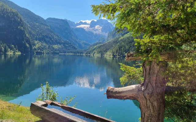 Appartement Alpenblick