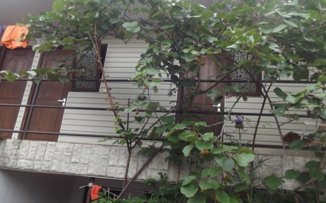 Guest House Solnyshko
