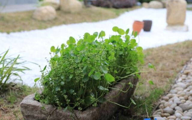 Miaotang yanziwu Guesthouse