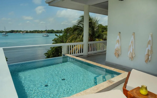 Villa Island Time Gecko