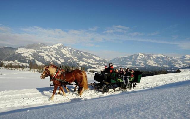 Appartement Feinsinn