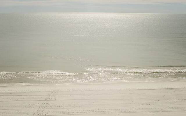 Tropical Winds Unit 701