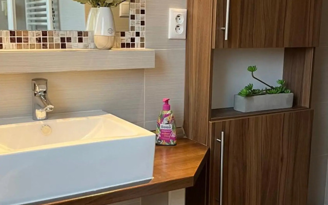 Apartment Safarikova