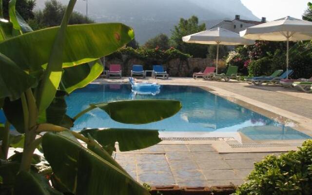Pasha Apart Hotel