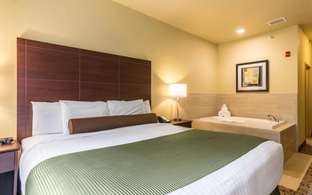 Cobblestone Hotel & Suites - Harborcreek