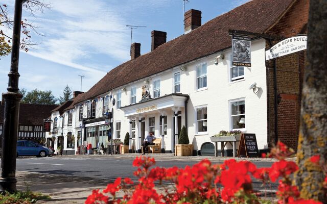 Dog & Bear Hotel