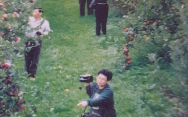 Waitomo Orchard Estate B&B