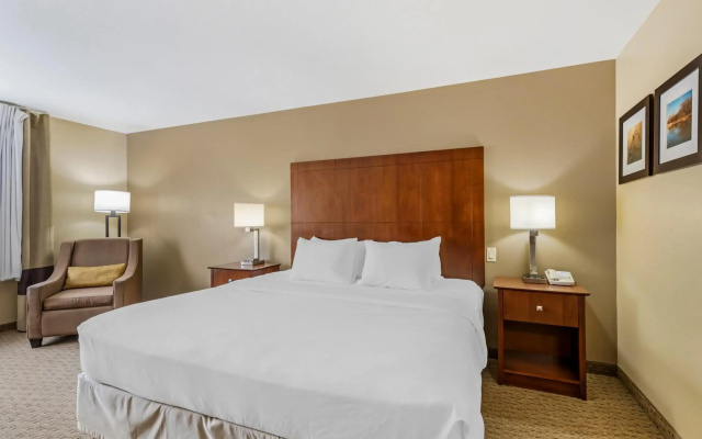 Bel Ami
