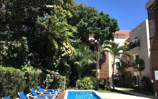 B and B Caribe Centro