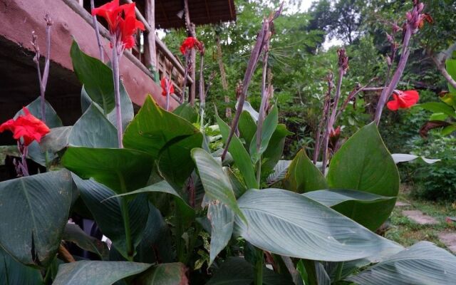Phayam Garden View