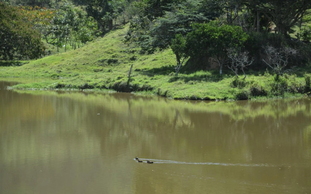 San Juan de los Guayabos