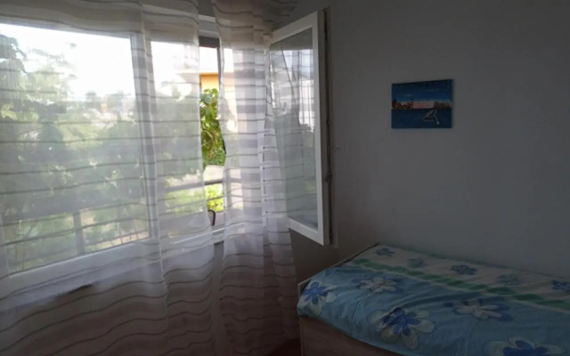 Apartman Šimun