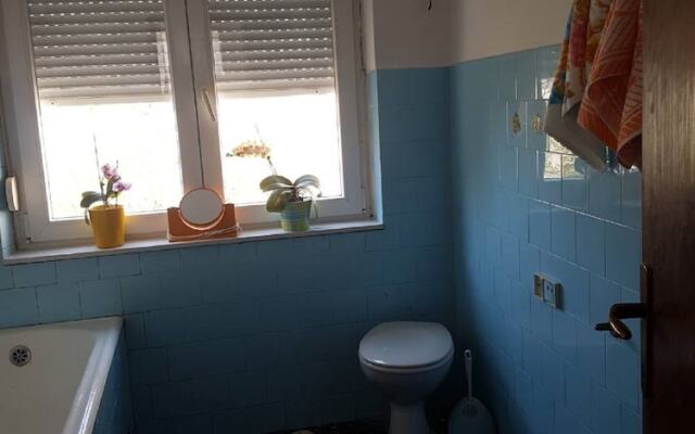 Havana rooms