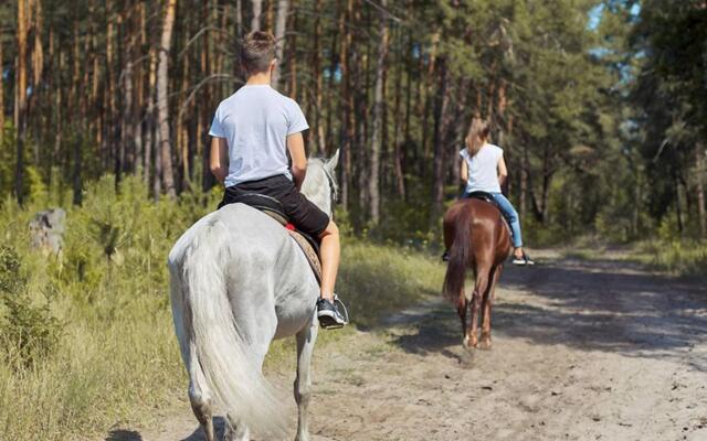 Luxury Villa 30 Minutes Driving From Florence-villa Rinaldi