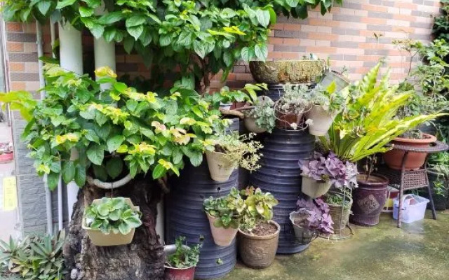 Good Time B&B (Judiaosha Yangmeikeng Branch)