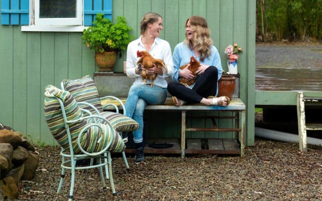 Driftwood Seaside Escapes