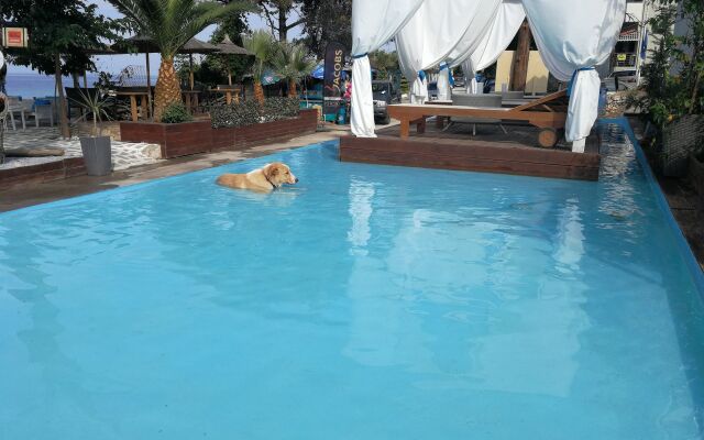 Beach Hotel Kapahi