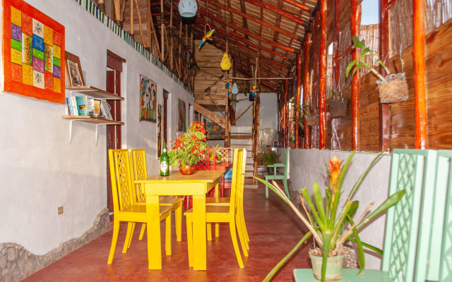 Hostel La Ballena Backpacker