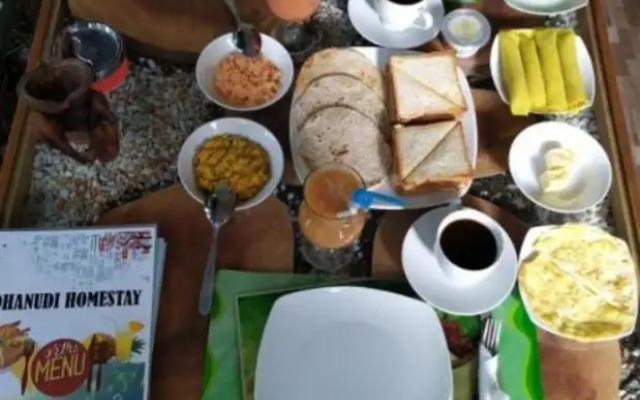 Dhanudi Homestay