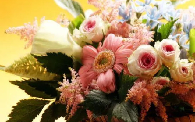 Yunoyado Hakusan Shoubutei