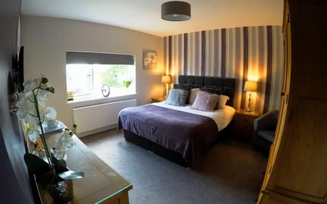 The Vine B & B