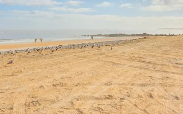 Beach Walk