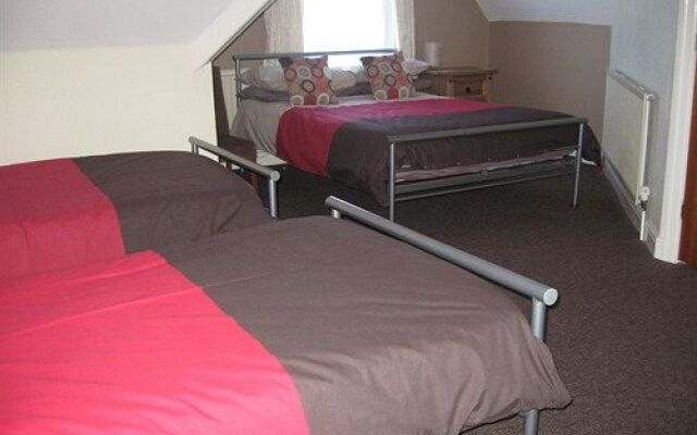 The Elmfield