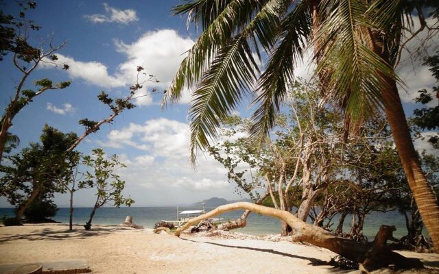 Sanctuaria Treehouses Busuanga