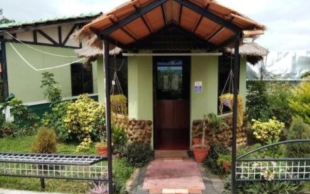 Misty Wood Resorts
