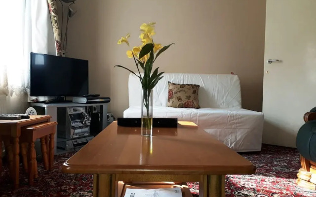 House with a garden in Arnos Grove