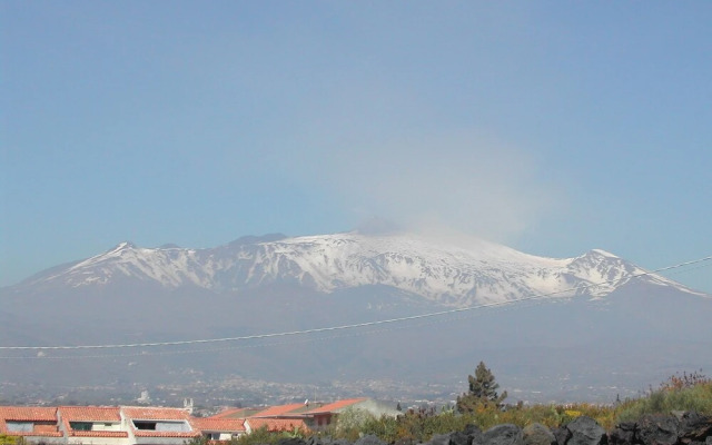 Gli Ulivi