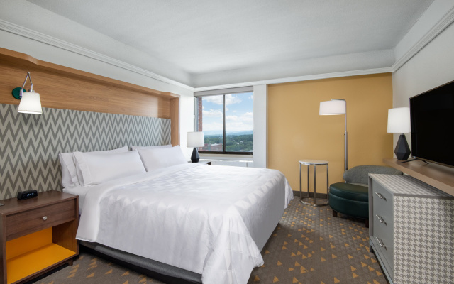 Holiday Inn & Suites Pittsfield-Berkshires by IHG