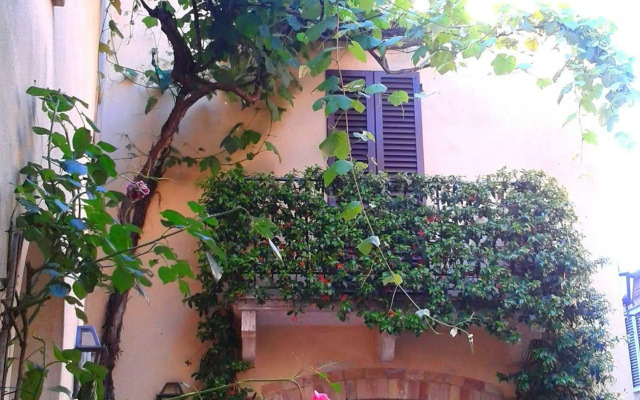 B&B Camere La Vite