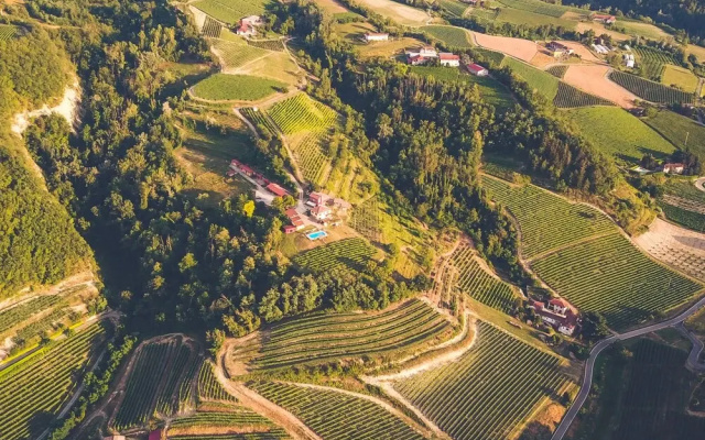 Tenuta MonteOliveto