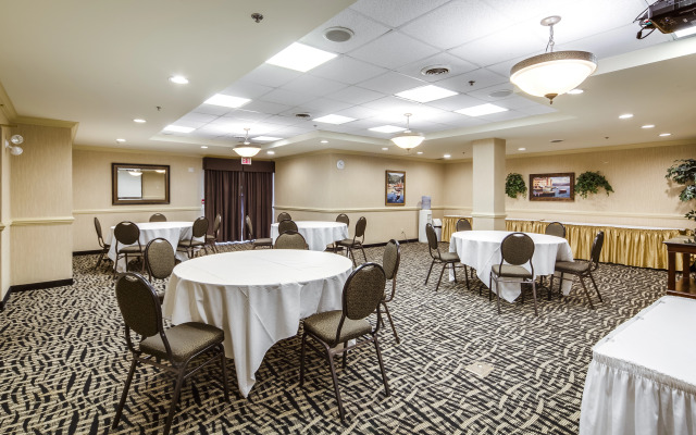 Monte Carlo Inn - Brampton Suites