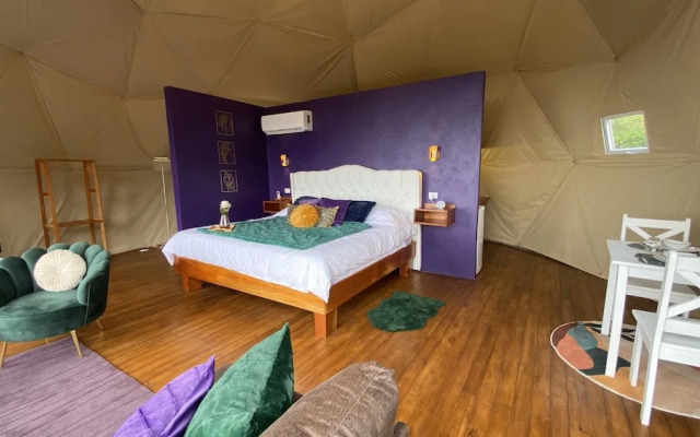 FéLIZA Rainforest Domes