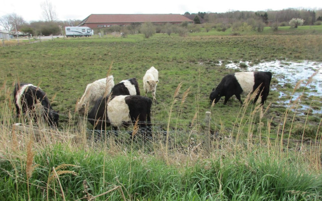 Ostseeferienparadies Heiligenhafen