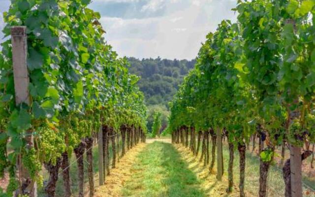 Pension Panoramablick