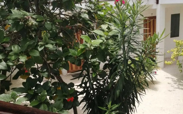 Posada Yalekin Holbox