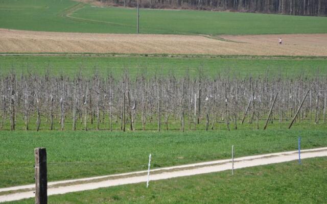Ferienwohnung Gindele