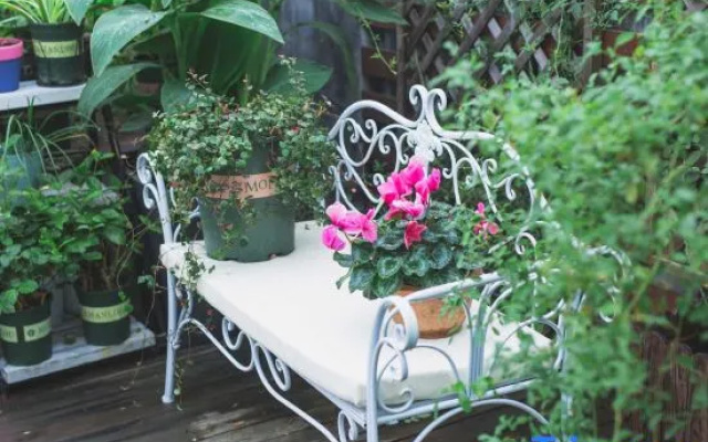 Huangshan Bed and Breakfast