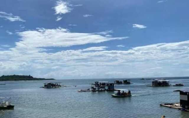 The Pelicans Castaway