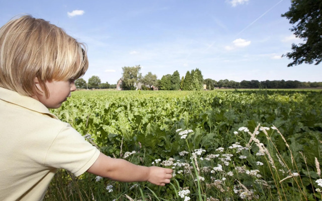 Chalet for 4 People in Borger