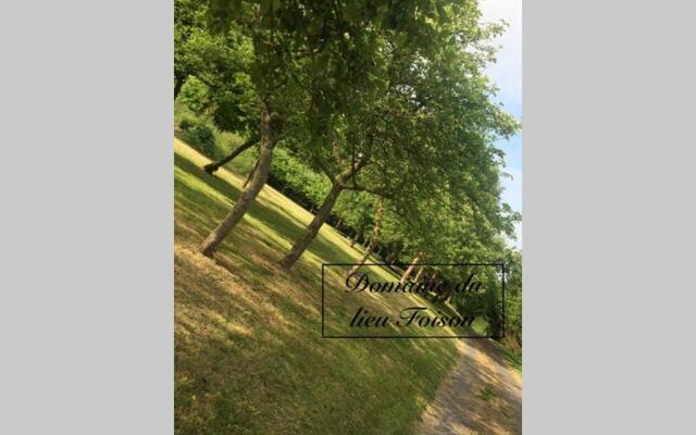 NORMANDIA du lieu foison