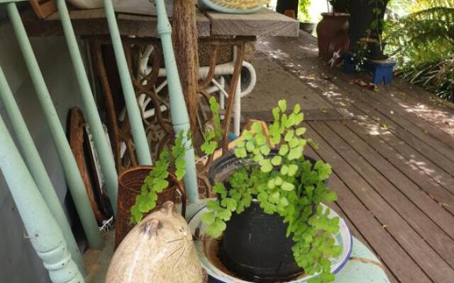 Cabins on Tudor bed & breakfast